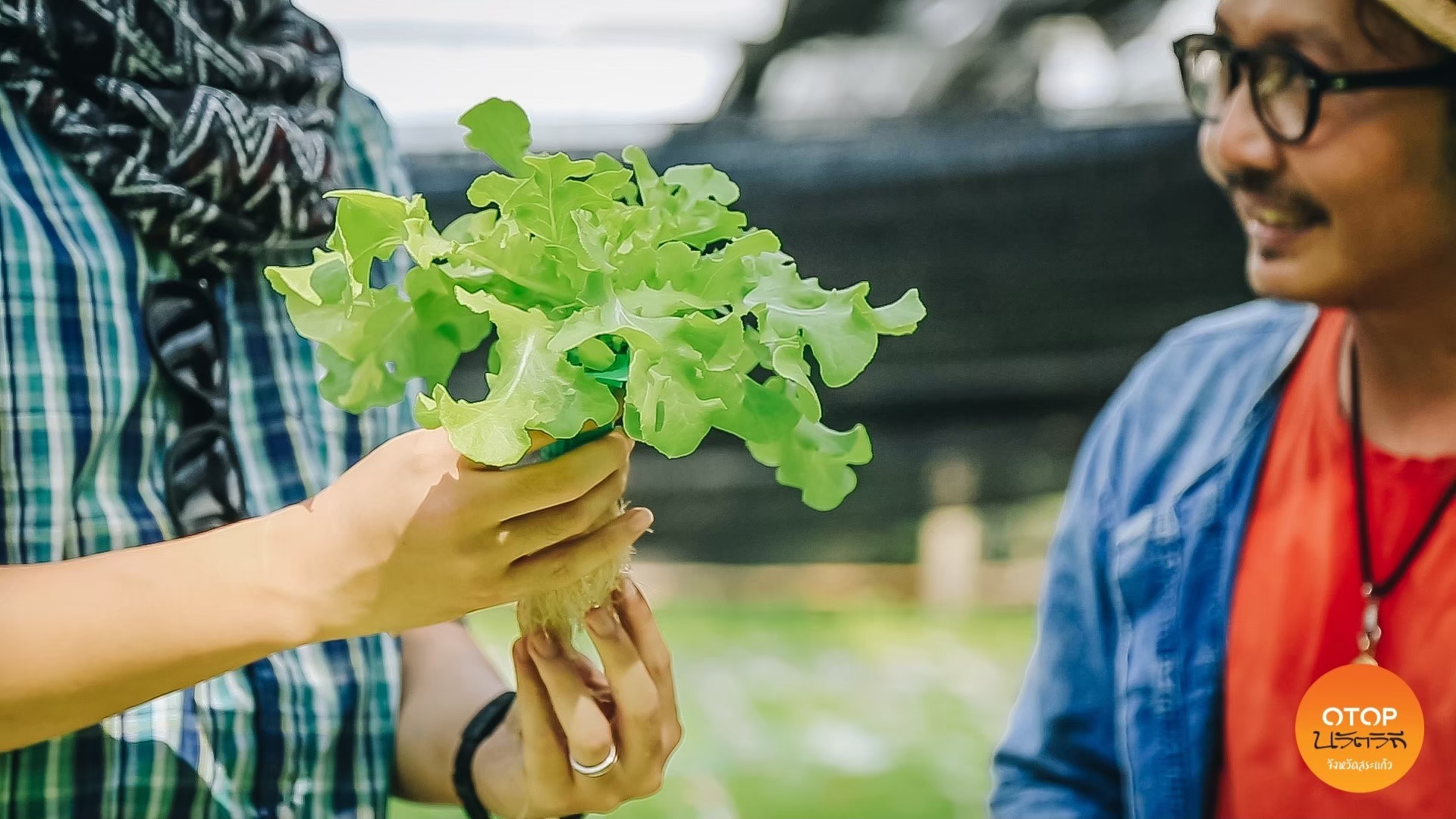  เชิญชวนเที่ยวชุมชน OTOP นวัตวิถี  