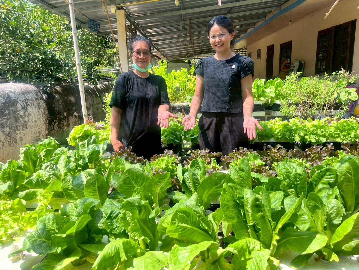 สพอ.เมืองสระแก้ว ติดตามการน้อมนำแนวพระราชดำริของสมเด็จพระกนิษฐาธิราชเจ้า กรมสมเด็จพระเทพรัตนราชสุดาฯ สยามบรมราชกุมารี สู่ปฏิบัติการปลูกผักสวนครัว เพื่อสร้างความมั่นคงทางอาหาร