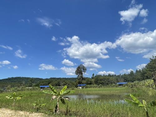 สพอ.เมืองสระแก้ว ชวนเช็คอิน "สวนลุงแดง" โคก หนอง นา แห่งบ้านคลองหมากนัด แหล่งเรียนรู้เกษตรผสมผสาน สัมผัสวิถีธรรมชาติที่ยั่งยืน จ.สระแก้ว