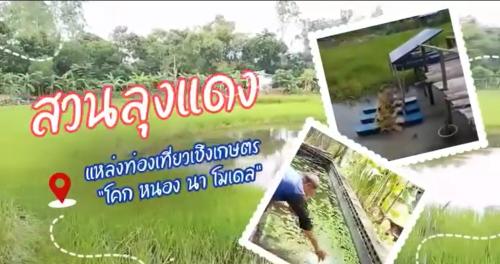 สพอ.เมืองสระแก้ว ชวนเช็คอิน "สวนลุงแดง" โคก หนอง นา แห่งบ้านคลองหมากนัด แหล่งเรียนรู้เกษตรผสมผสาน สัมผัสวิถีธรรมชาติที่ยั่งยืน จ.สระแก้ว
